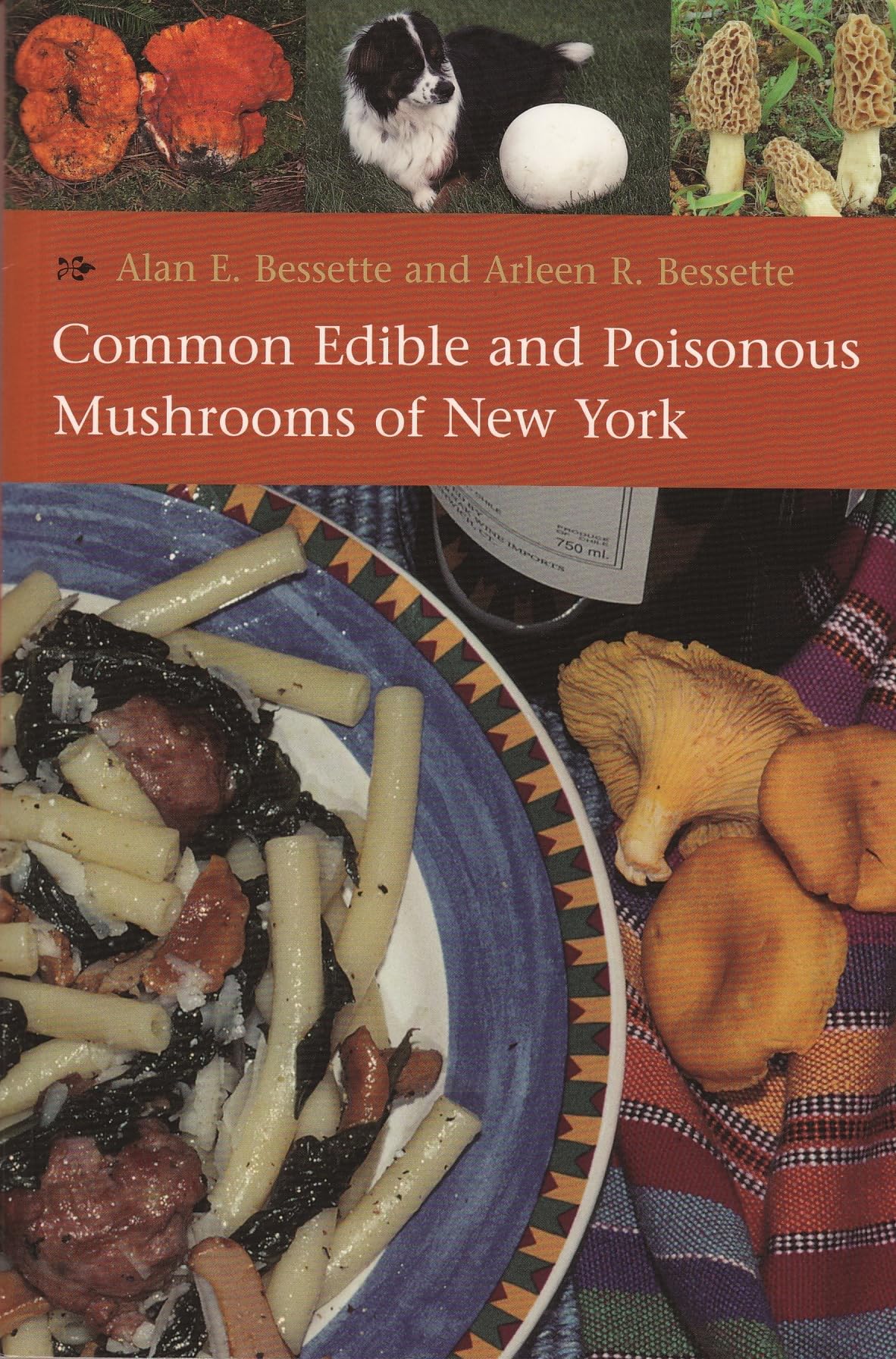 Common Edible And Poisonous Mushrooms Of New York,Used