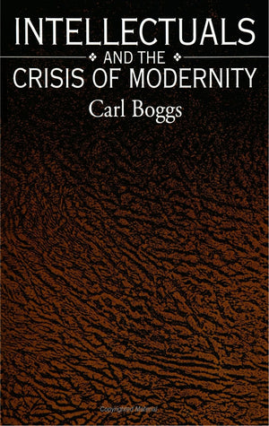 Intellectuals and the Crisis of Modernity (S U N Y Series in Radical Social and Political Theory),New