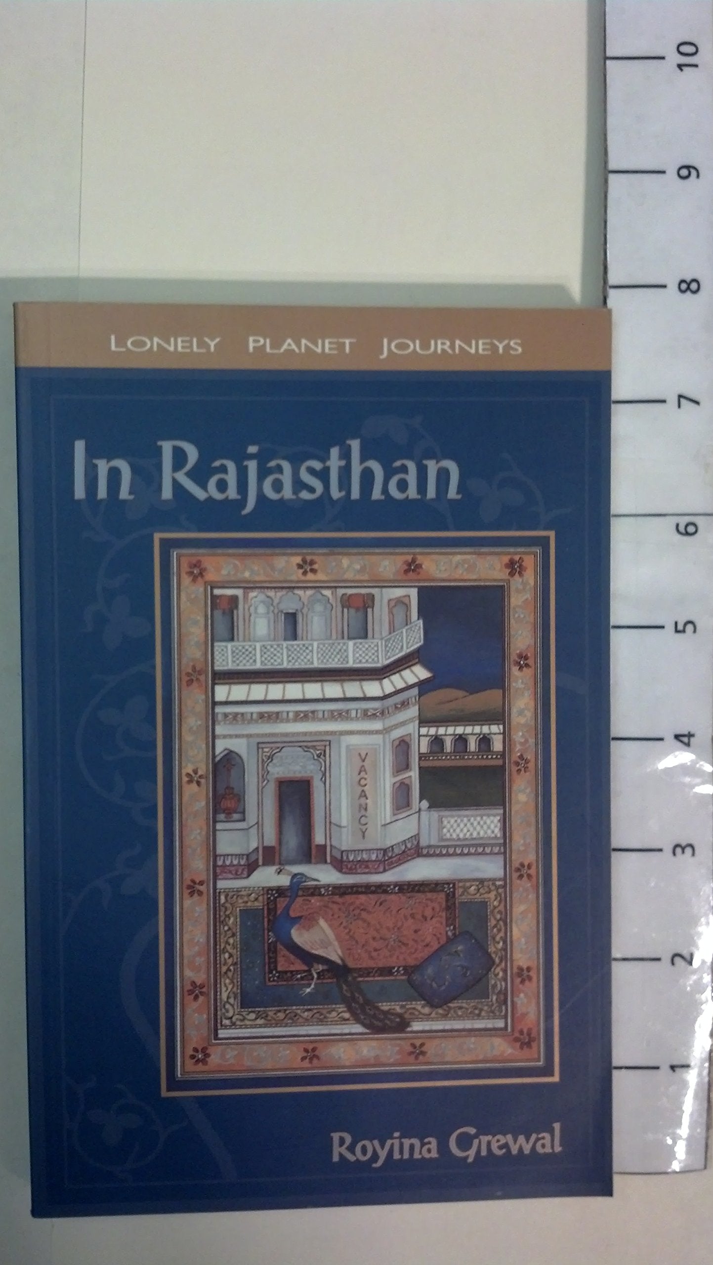 In Rajasthan (Lonely Planet Journeys)-used