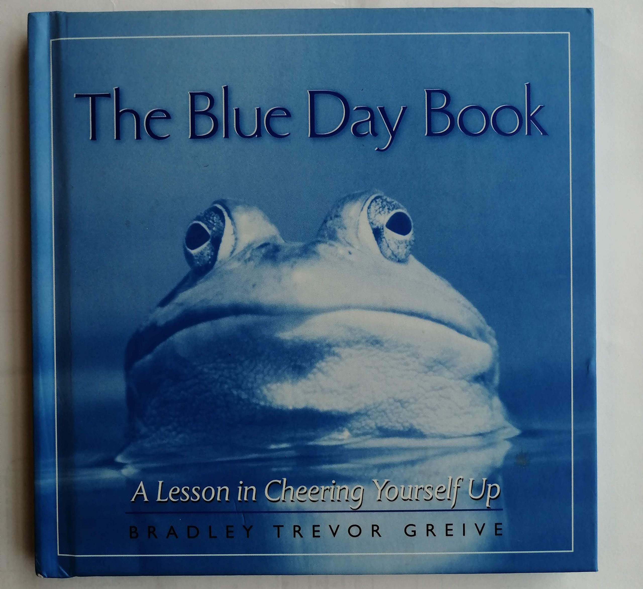 The Blue Day Book,Used