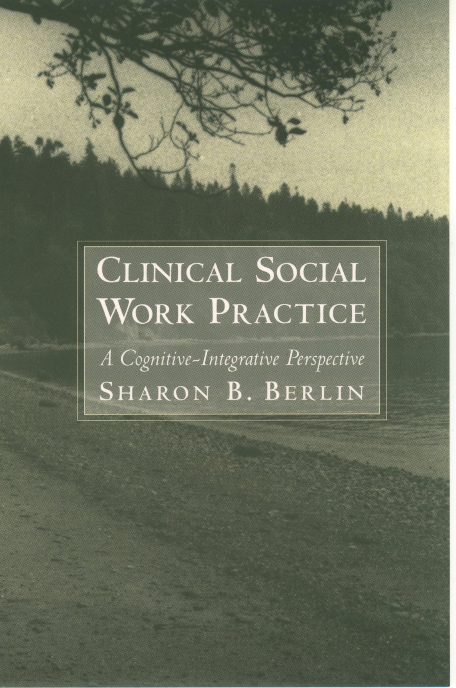 Clinical Social Work Practice: A CognitiveIntegrative Perspective,Used