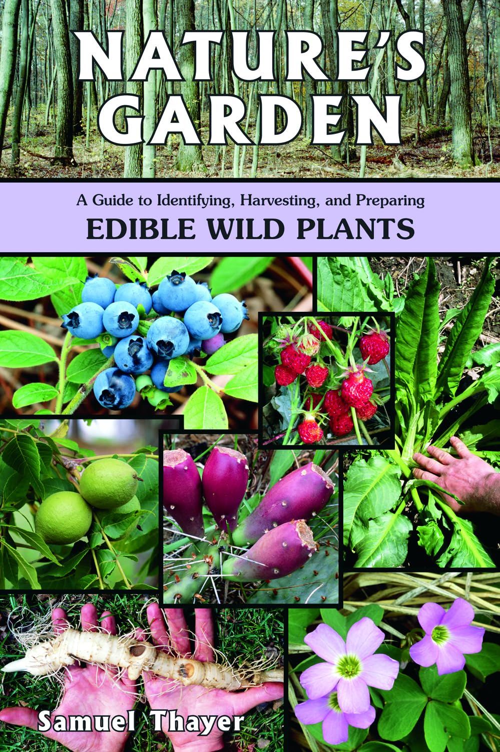 Nature's Garden: A Guide to Identifying, Harvesting, and Preparing Edible Wild Plants,New