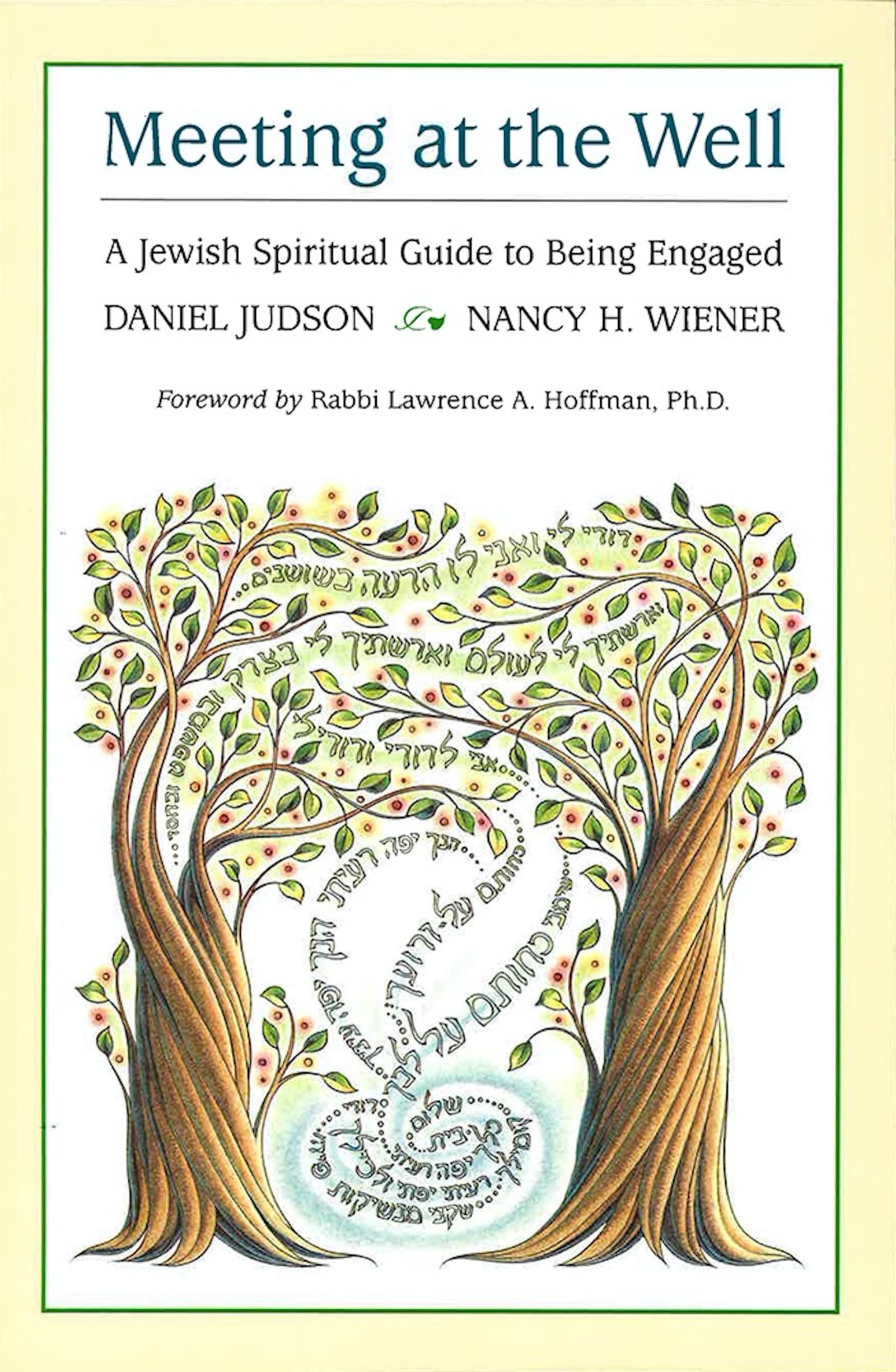 Meeting at the Well: A Jewish Spiritual Guide to Being Engaged,Used