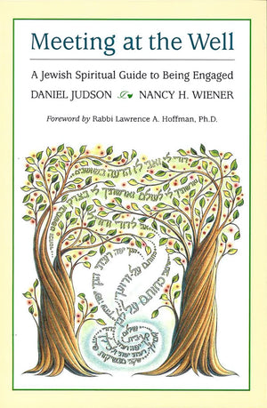Meeting at the Well: A Jewish Spiritual Guide to Being Engaged,Used