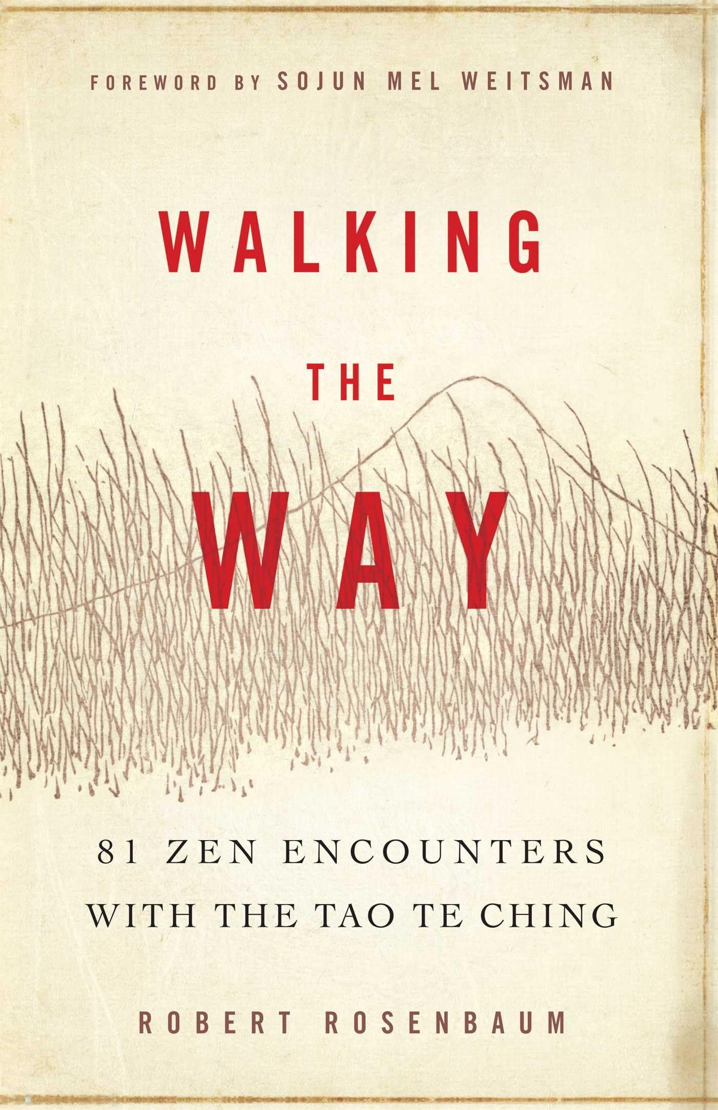 Walking the Way: 81 Zen Encounters with the Tao Te Ching,Used