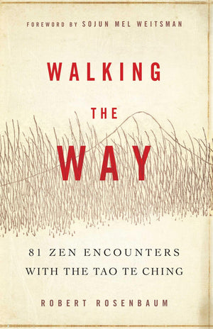 Walking the Way: 81 Zen Encounters with the Tao Te Ching,Used