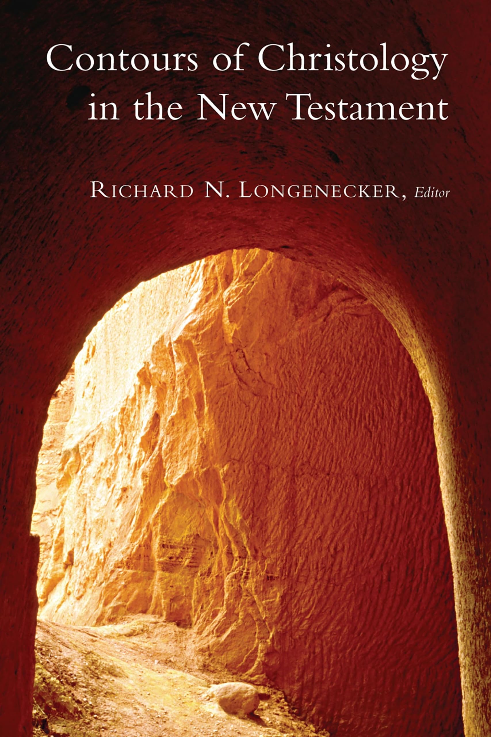 Contours of Christology in the New Testament (McMaster New Testament Studies (MNTS)),New
