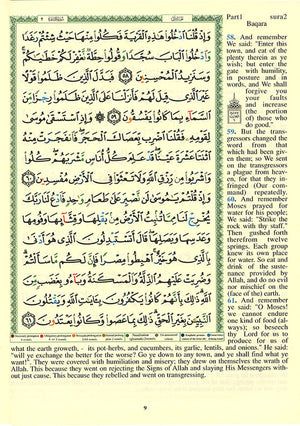 Tajweed Qur'an (Whole Qur an, With English Translation),New