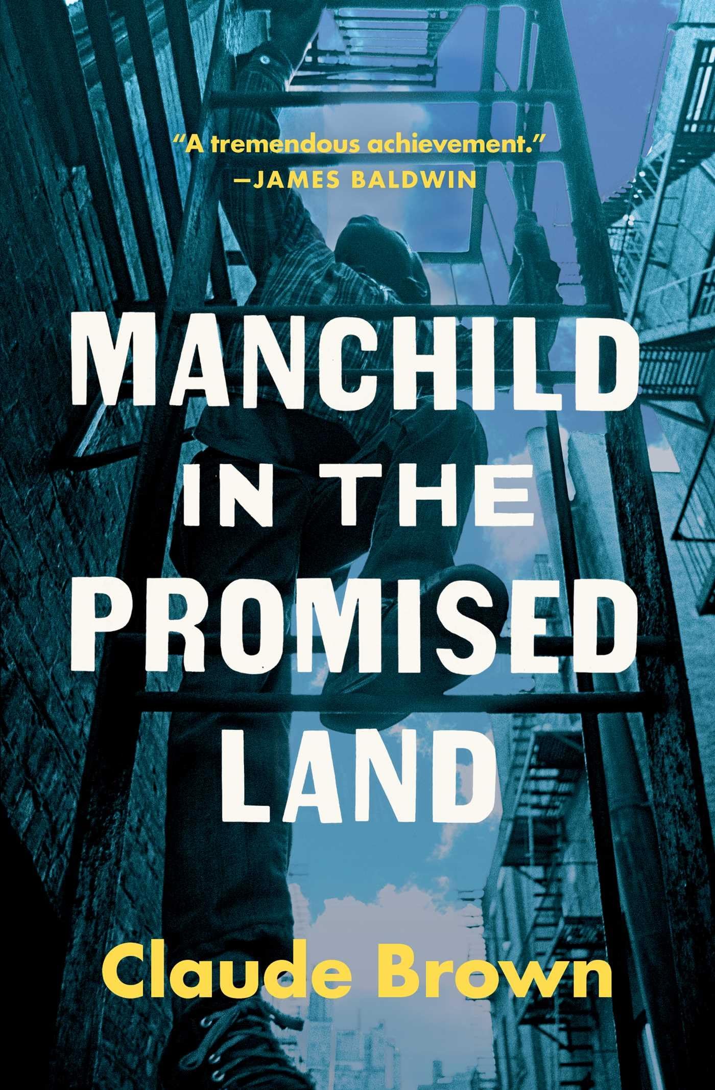 Manchild In The Promised Land-new