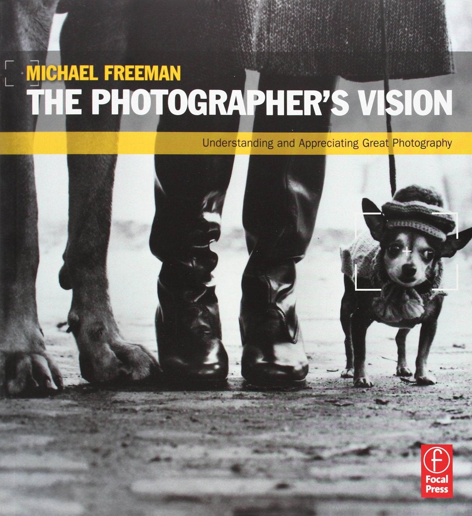 The Photographer's Vision: Understanding and Appreciating Great Photography,Used