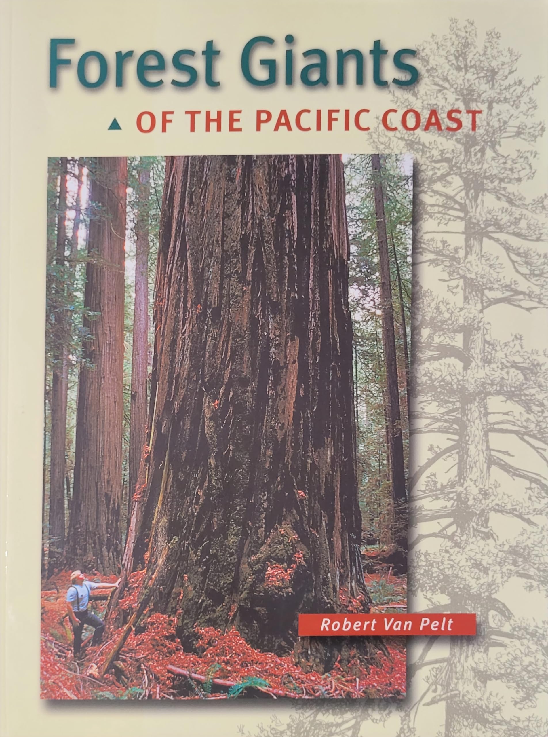 Forest Giants of the Pacific Coast,Used