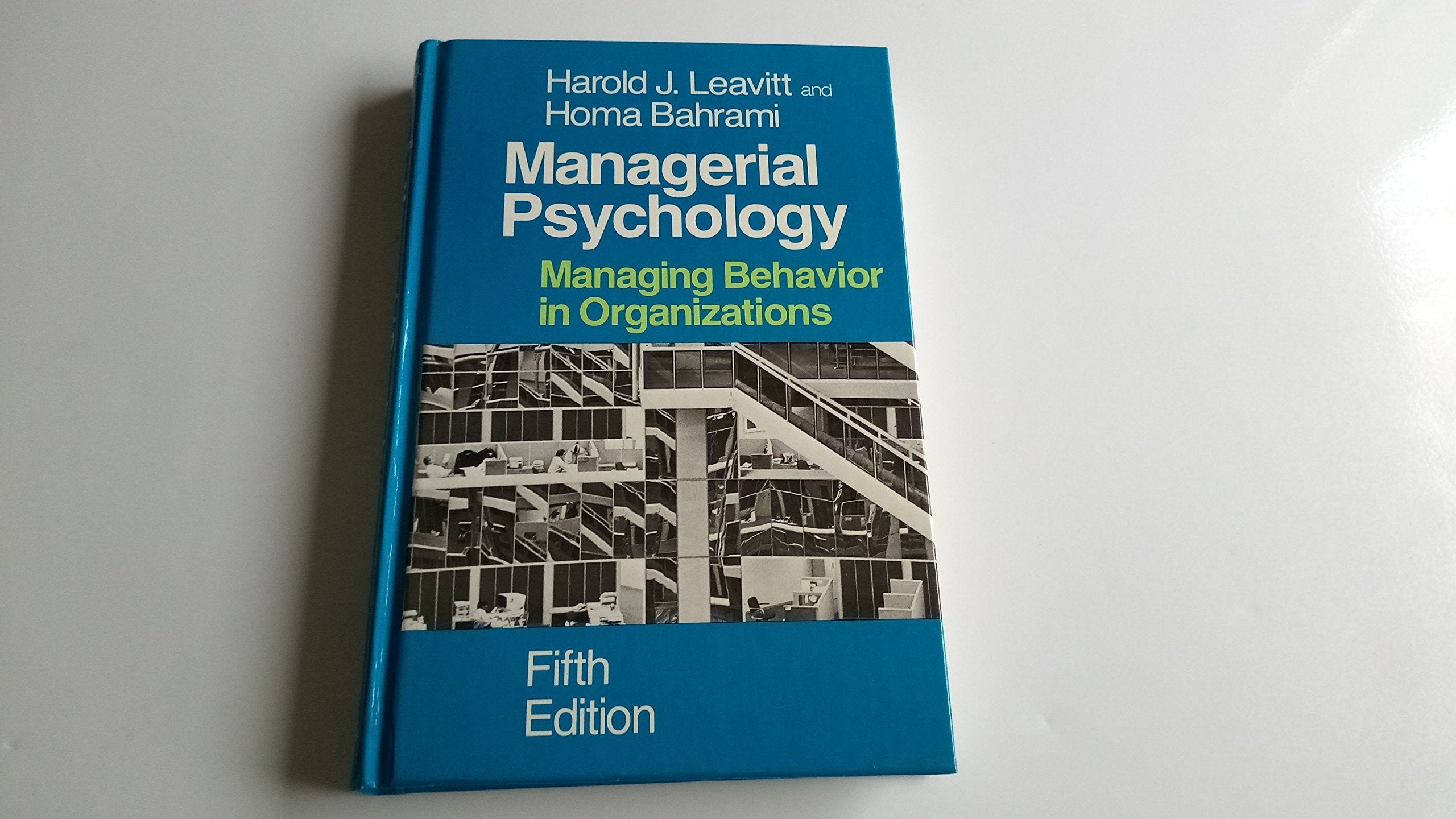 Managerial Psychology: Managing Behavior in Organizations,Used