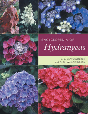 Encyclopedia Of Hydrangeas,Used