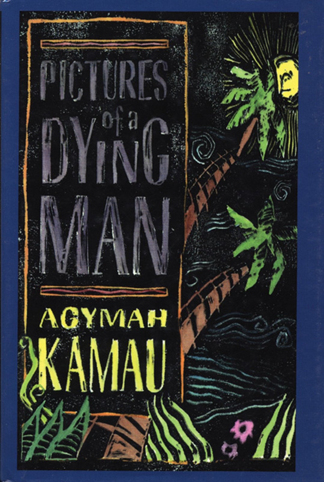 Pictures of a Dying Man: A Novel,Used