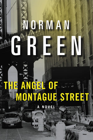 The Angel of Montague Street: A Novel,Used