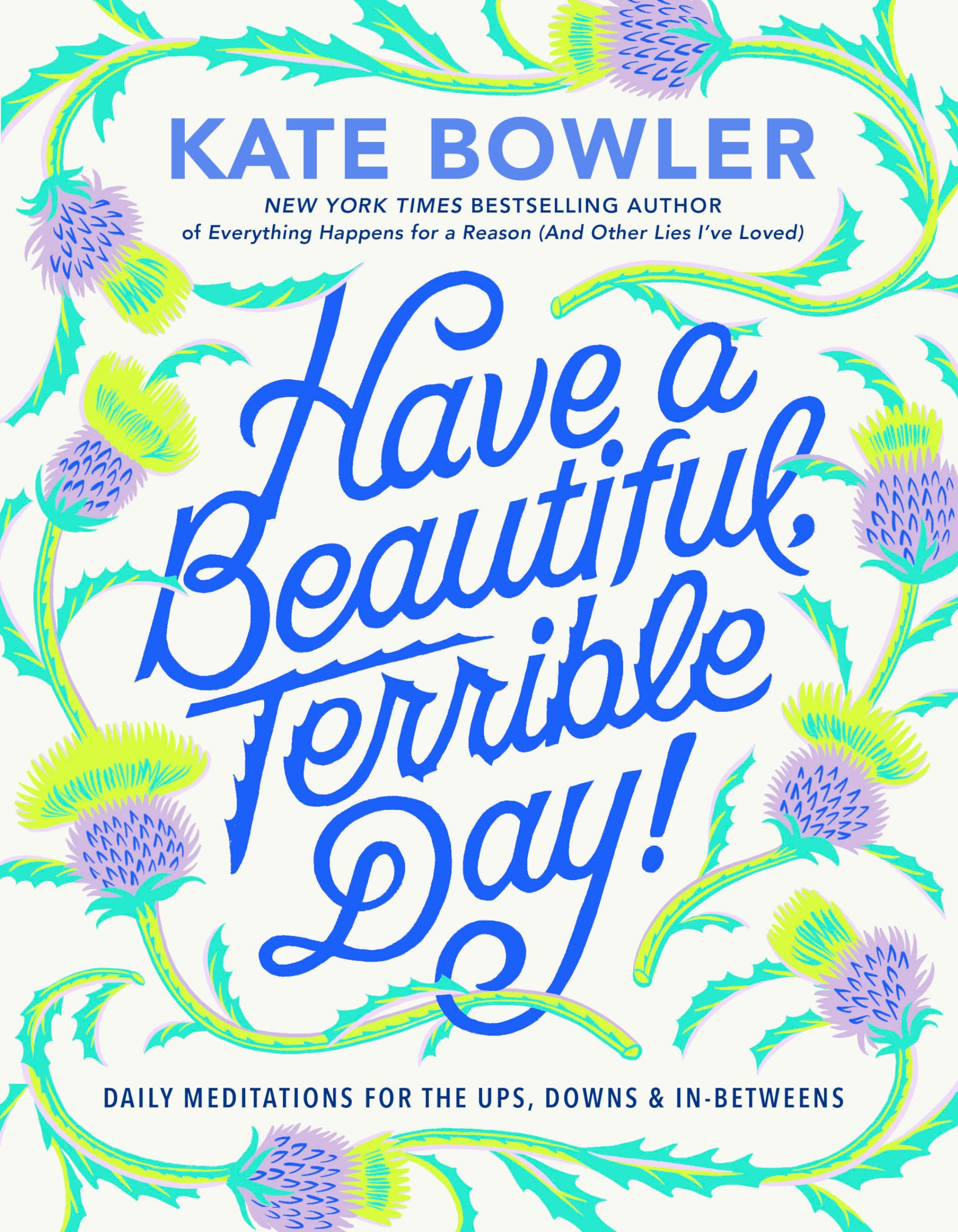 Have A Beautiful, Terrible Day!: Daily Meditations For The Ups, Downs & Inbetweens,Used