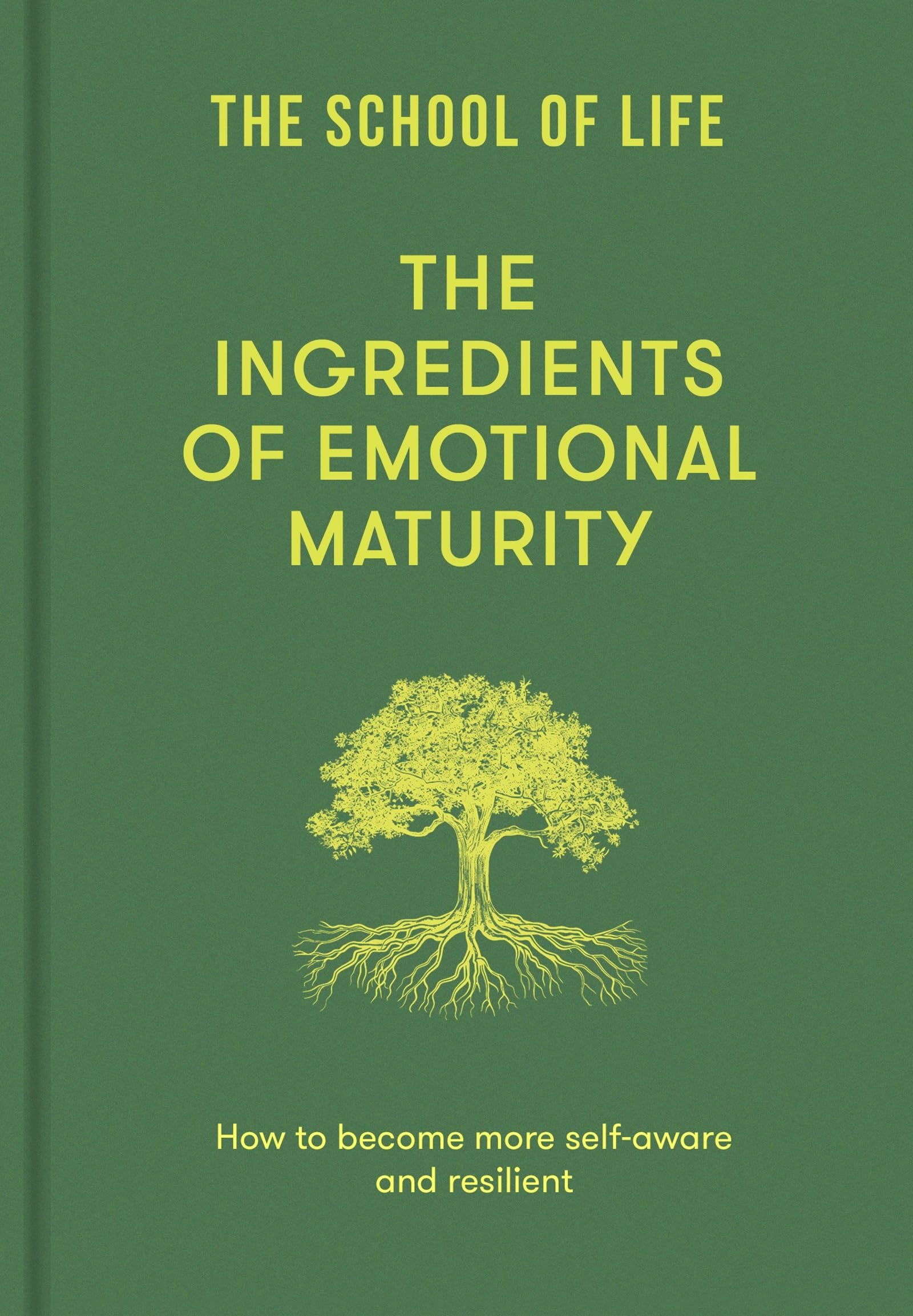 The Ingredients Of Emotional Maturity: How To Become More SelfAware And Resilient