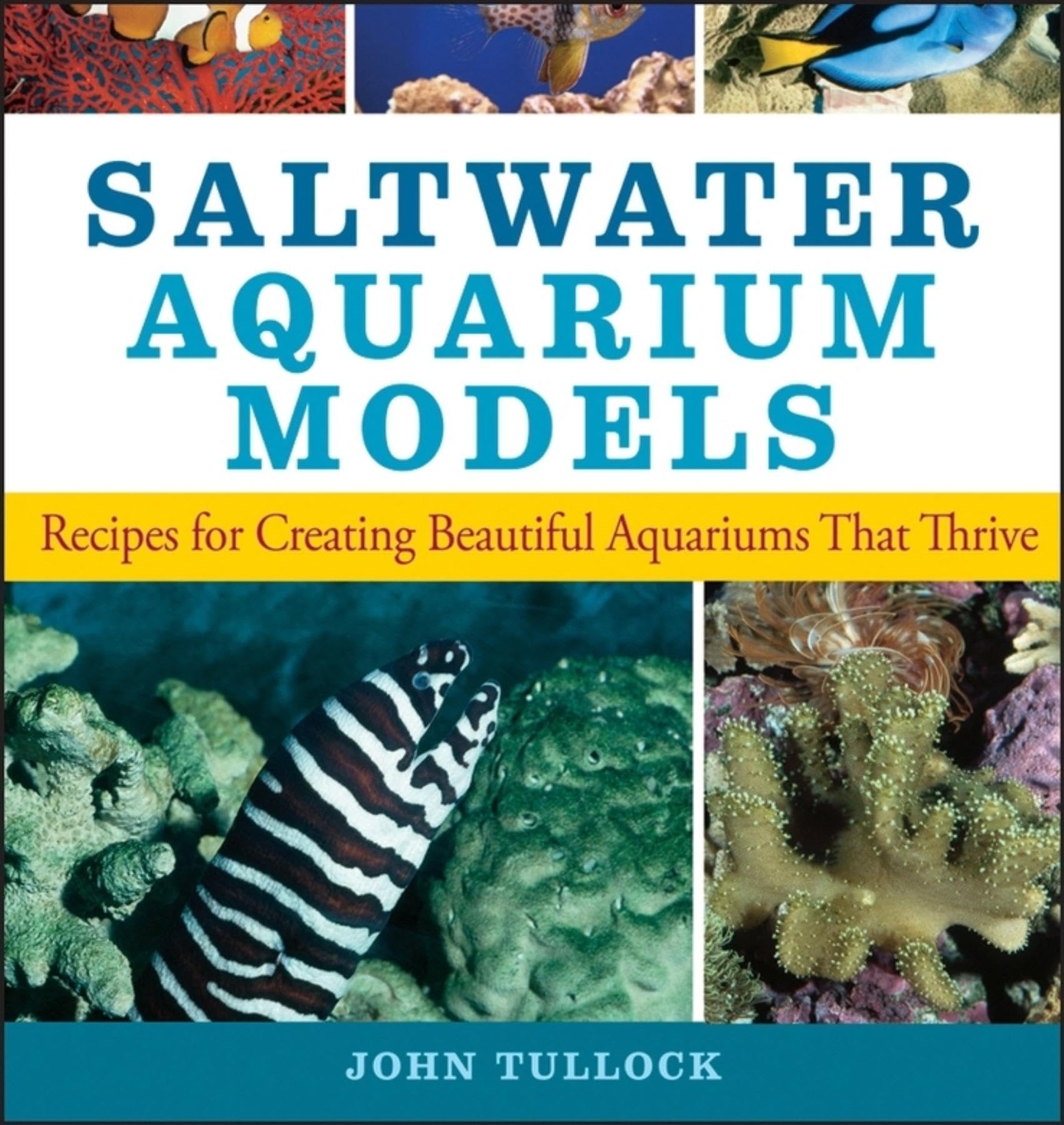 Saltwater Aquarium Models: Recipes for Creating Beautiful Aquariums That Thrive,Used