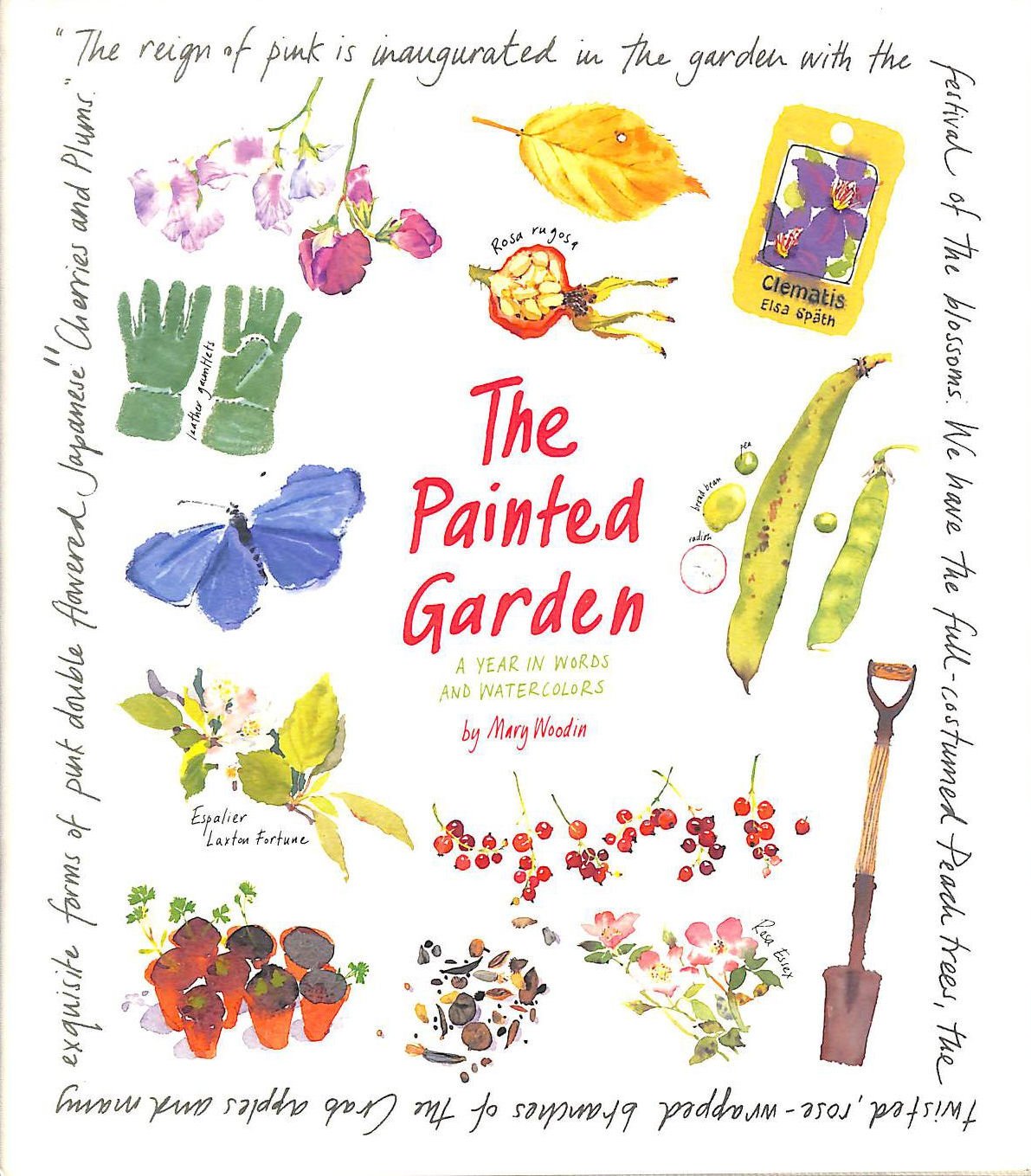 Painted Garden,Used