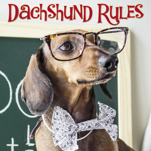 Dachshund Rules,Used
