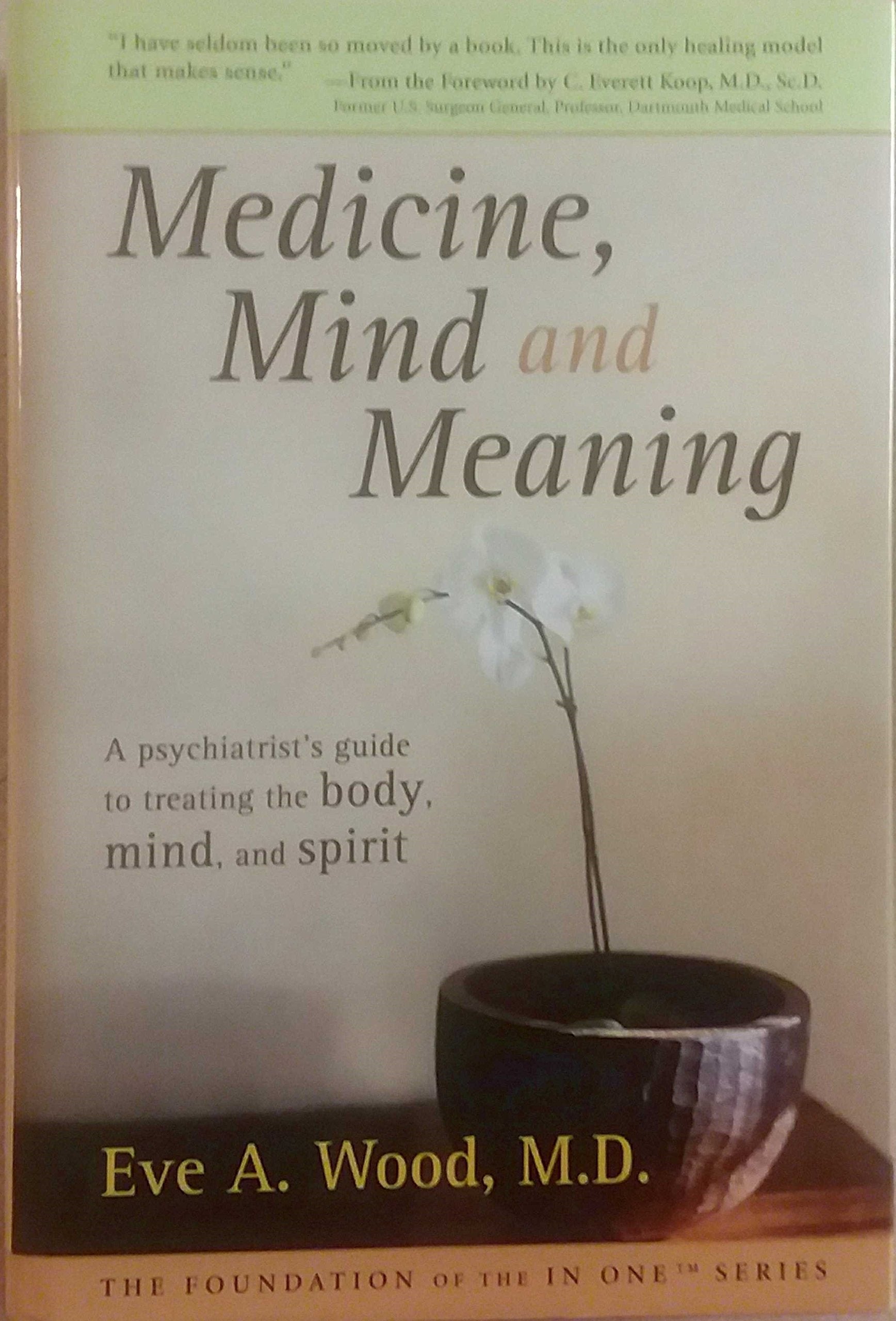 Medicine, Mind And Meaning: A Psychiatrist'S Guide To Treating The Body, Mind And Spirit (Foundation Of The In One Series)