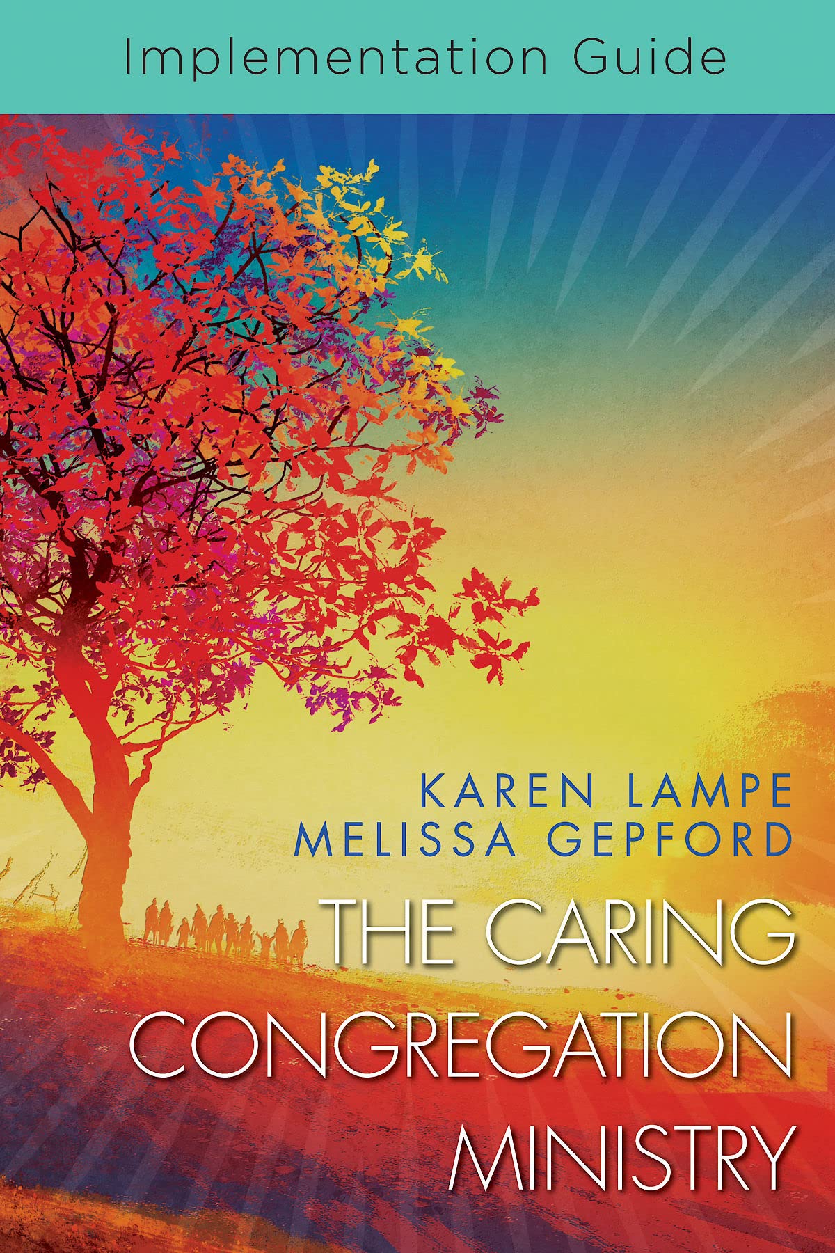 The Caring Congregation Ministry Implementation Guide,Used