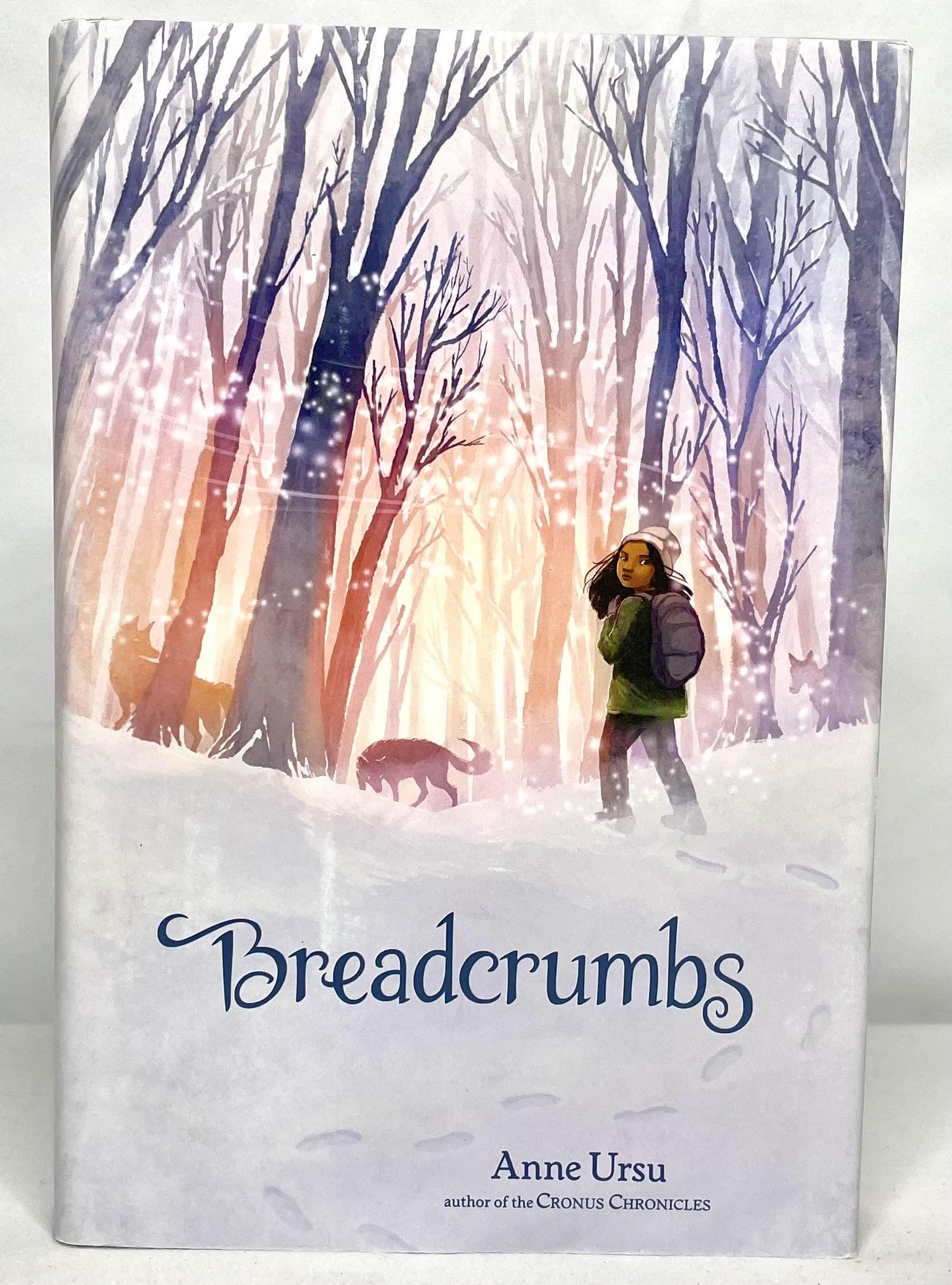 Breadcrumbs,Used