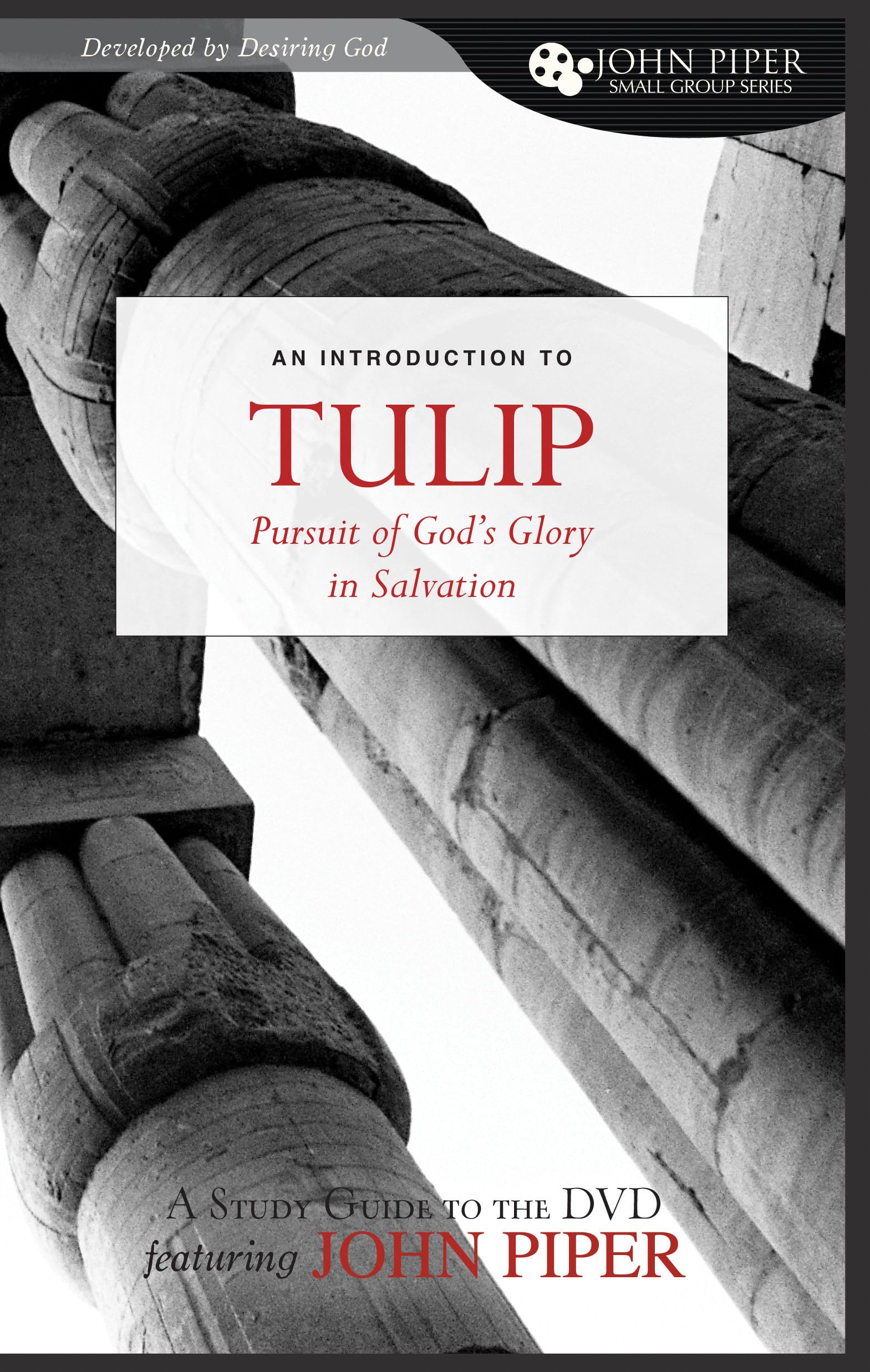 TULIP (A Study Guide to the DVD Featuring John Piper): The Pursuit of God's Glory in Salvation (John Piper Small Group Series),Used