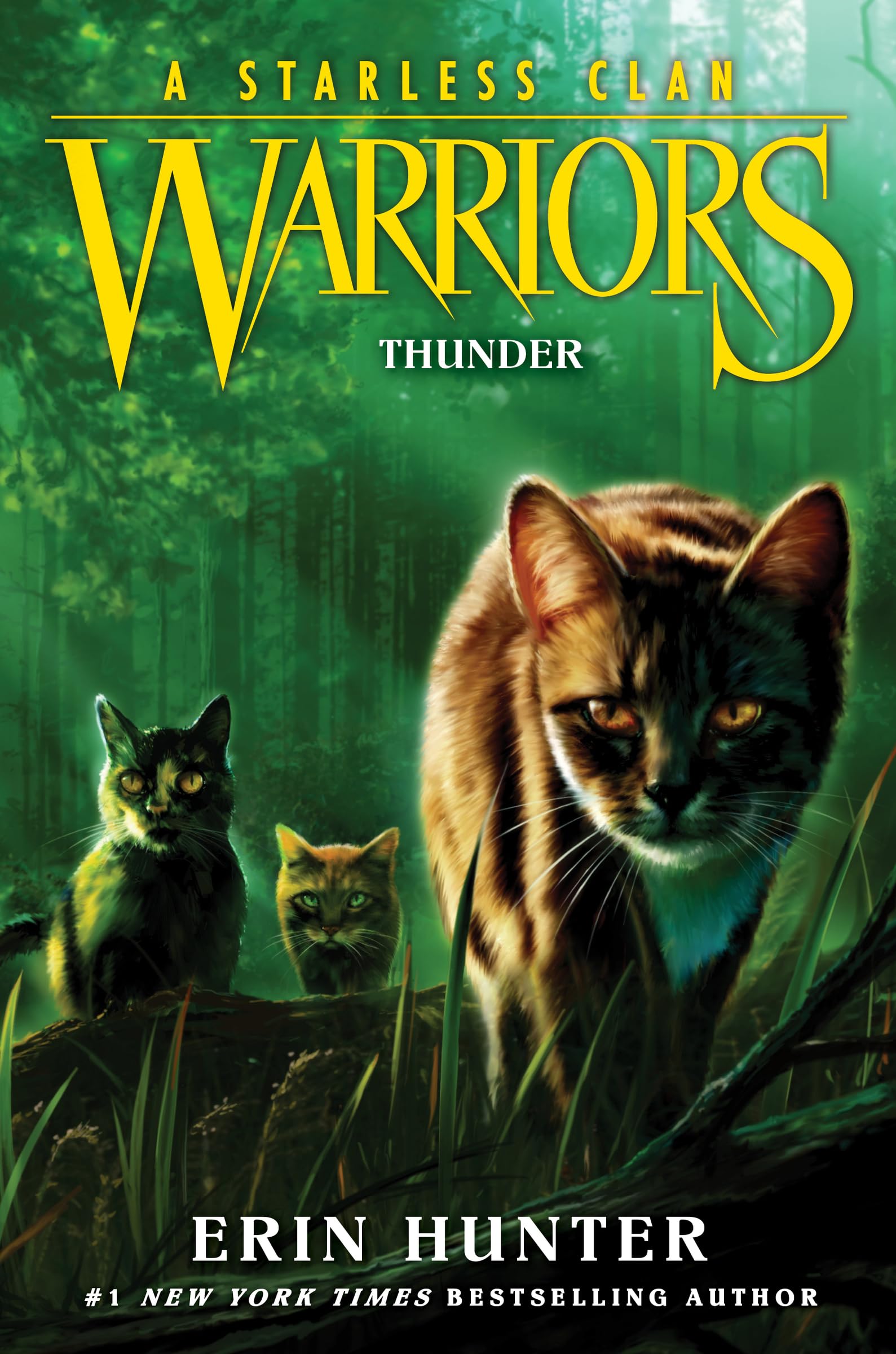 Warriors: A Starless Clan #4: Thunder,New