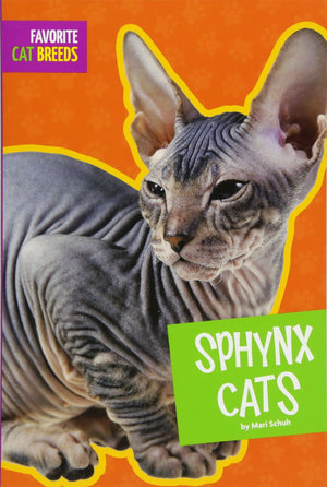 Sphynx Cats (Favorite Cat Breeds)