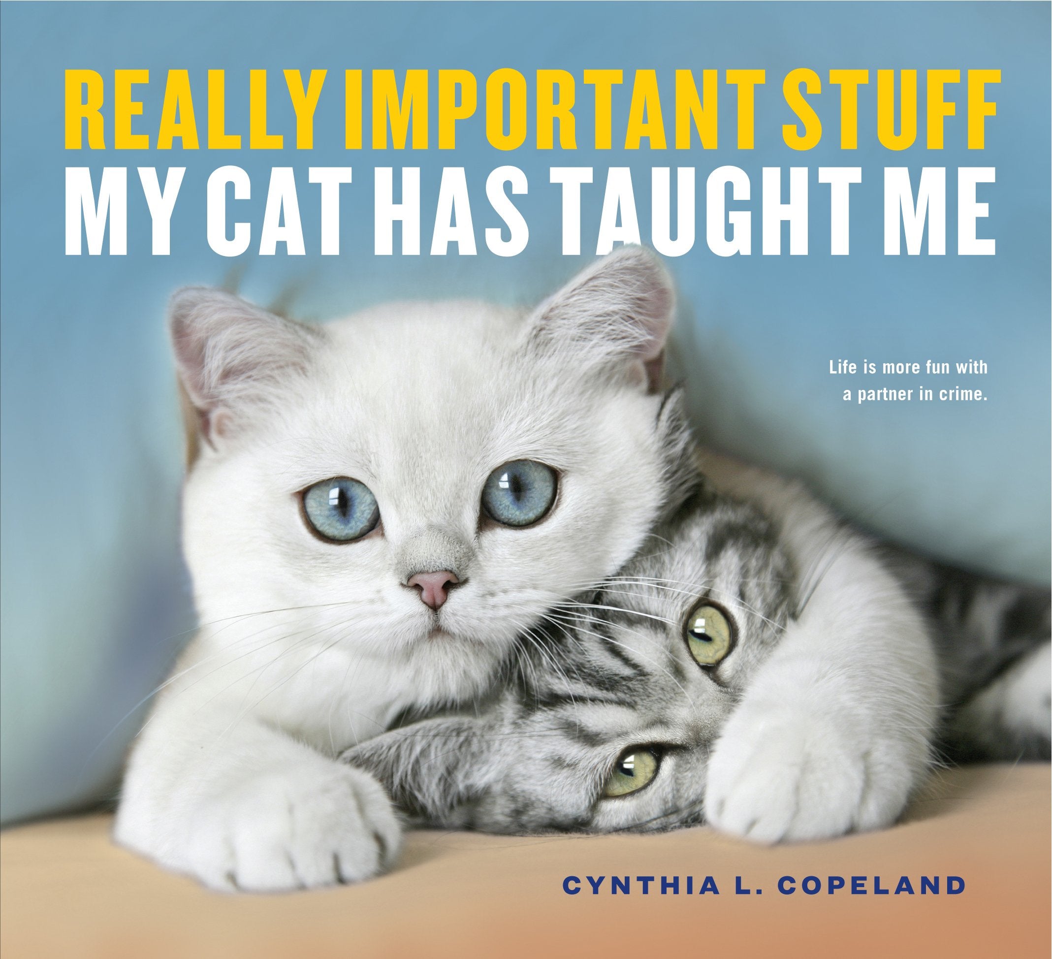 Really Important Stuff My Cat Has Taught Me,Used