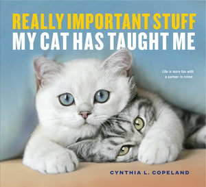 Really Important Stuff My Cat Has Taught Me,Used