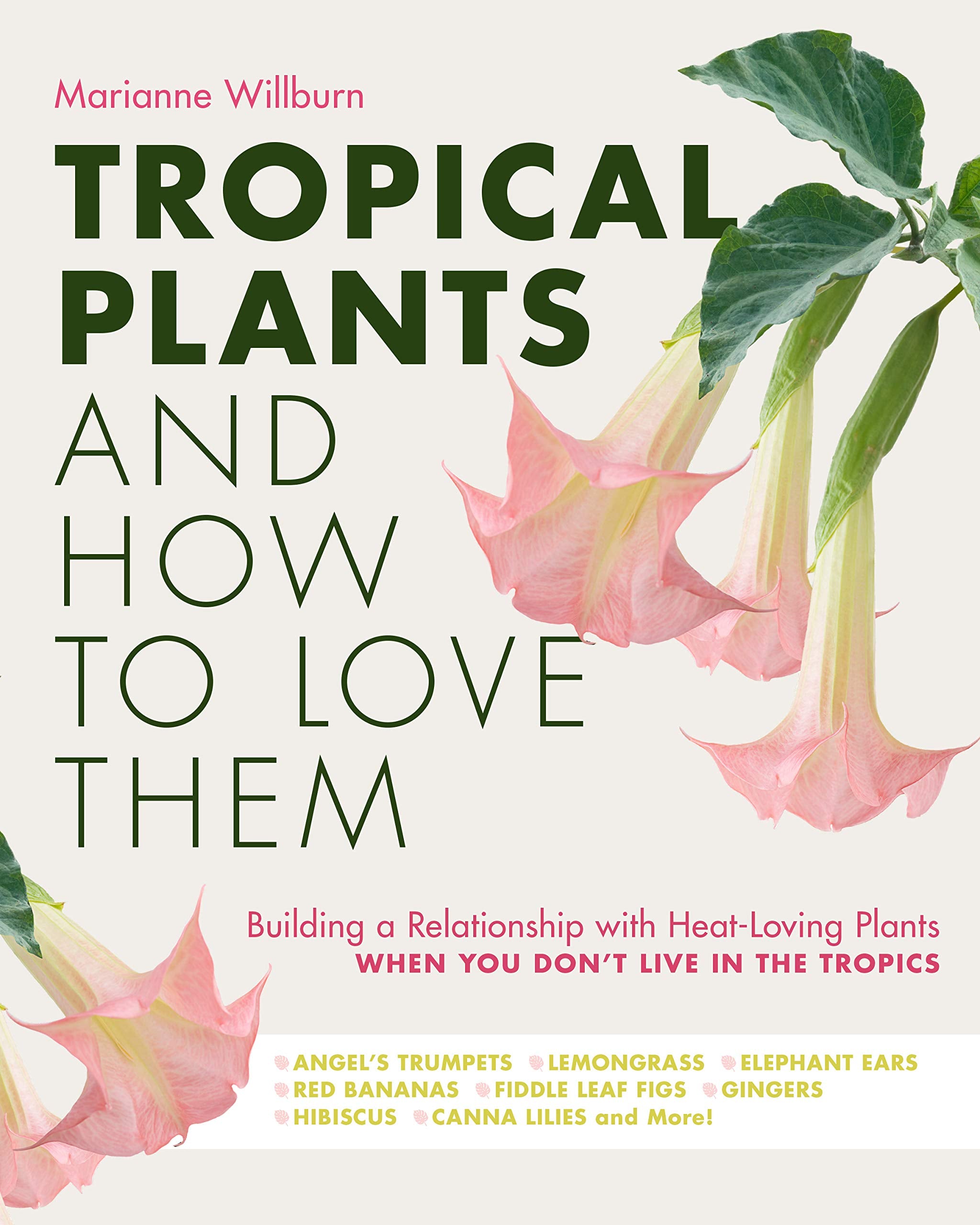 Tropical Plants And How To Love Them: Building A Relationship With Heatloving Plants When You Don'T Live In The Tropics  Angel