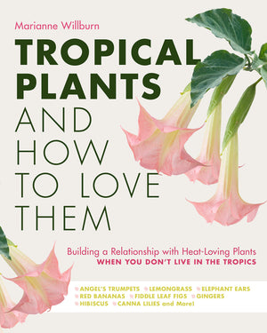Tropical Plants And How To Love Them: Building A Relationship With Heatloving Plants When You Don'T Live In The Tropics  Angel