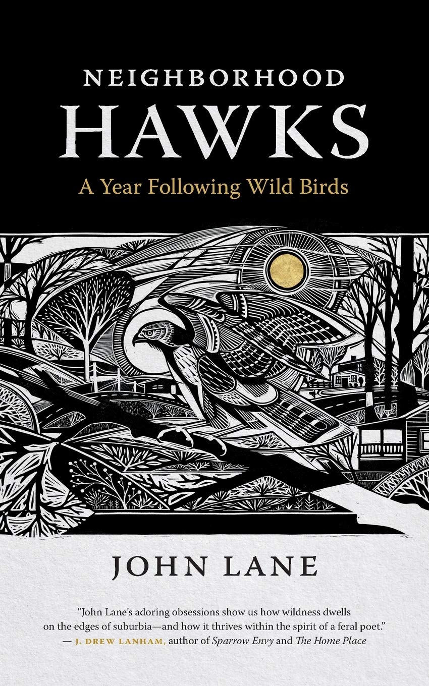 Neighborhood Hawks: A Year Following Wild Birds (Wormsloe Foundation Nature Books),Used