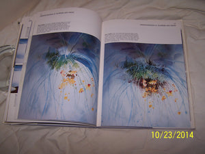 Painting Nature's Hidden Treasures : Advanced Techniques in Watercolor,Used