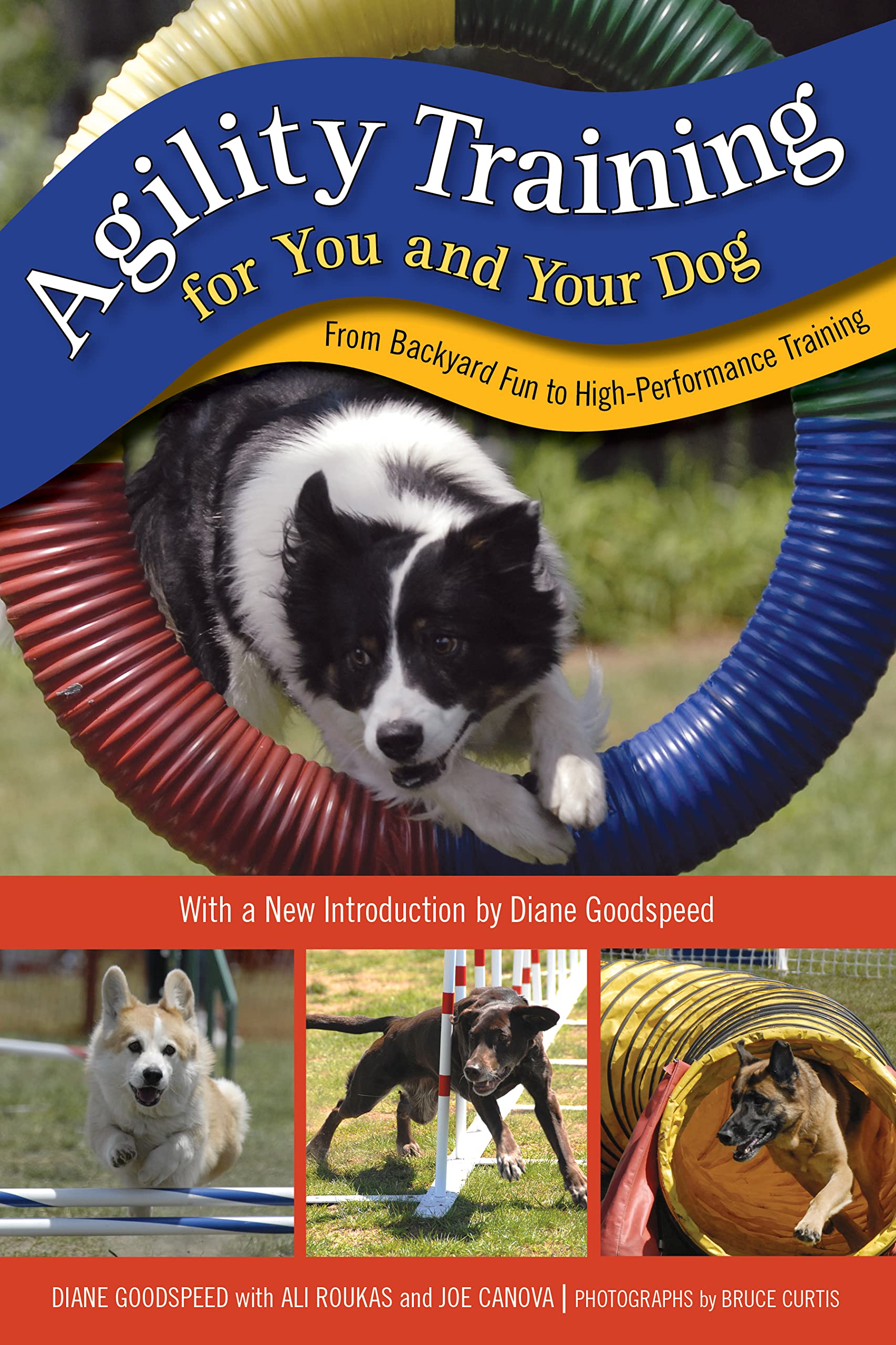 Agility Training For You And Your Dog: From Backyard Fun To Highperformance Training,Used