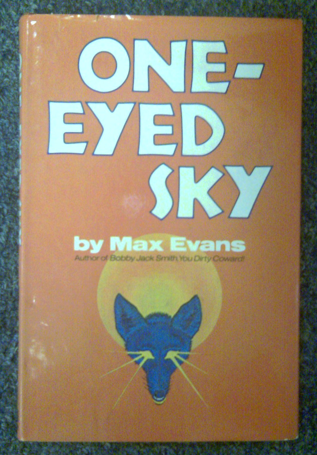 OneEyed sky,Used