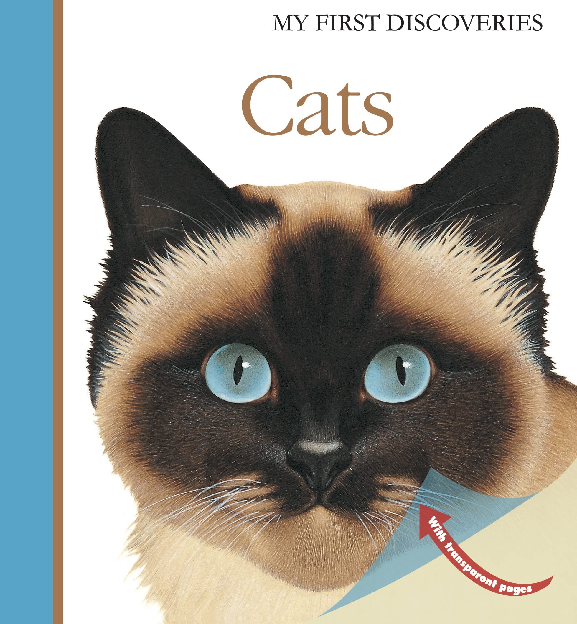 Cats (My First Discoveries),Used