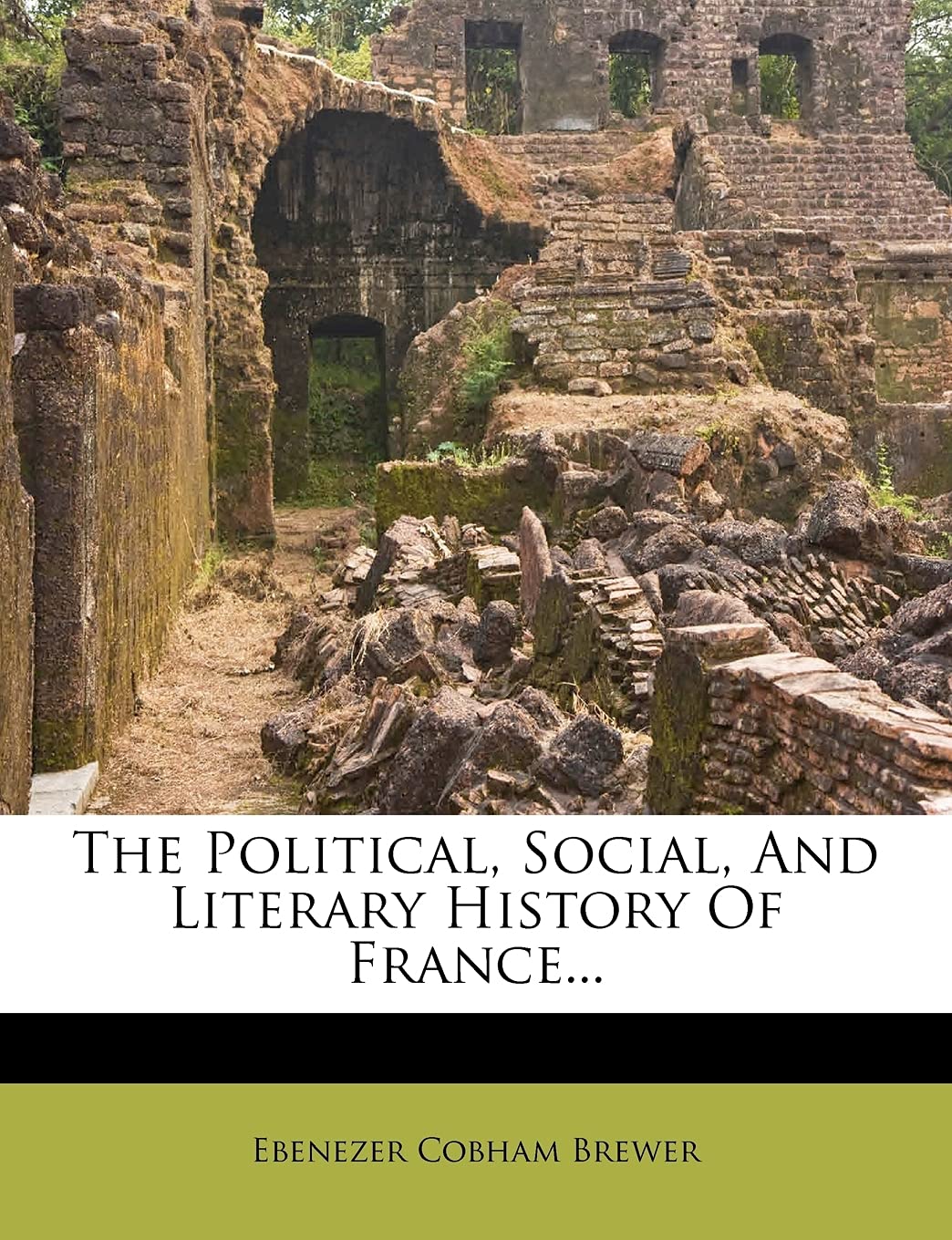 The Political, Social, and Literary History of France...,New