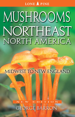 Mushrooms Of Northeast North America: Midwest To New England