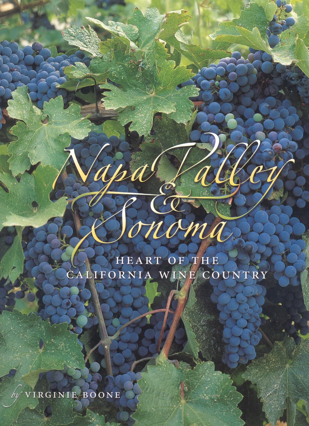Napa Valley & Sonoma: Heart Of California Wine Country,New