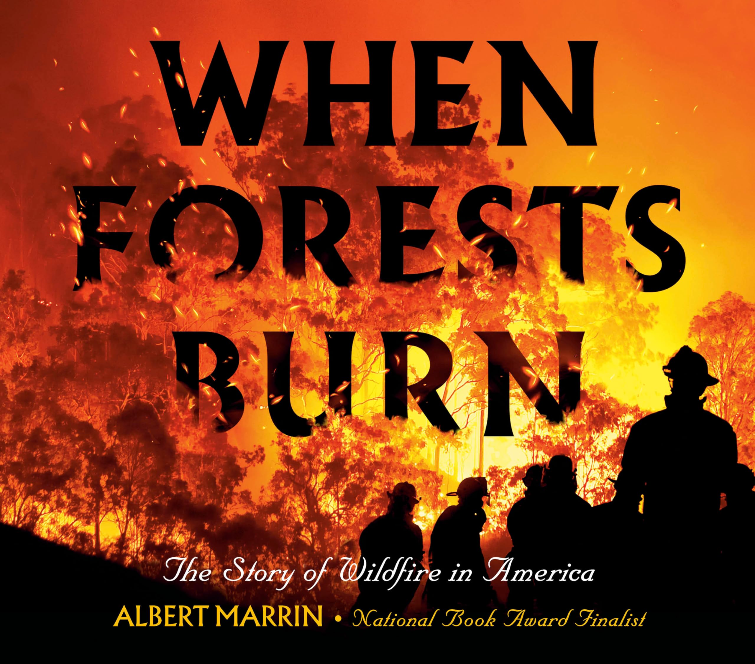 When Forests Burn: The Story Of Wildfire In America,Used