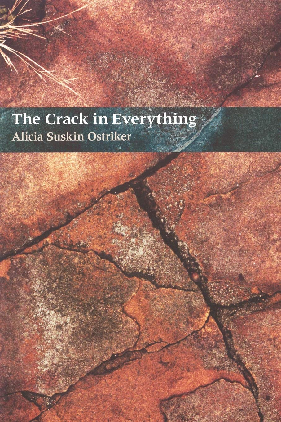 The Crack In Everything (Pitt Poetry Series),Used