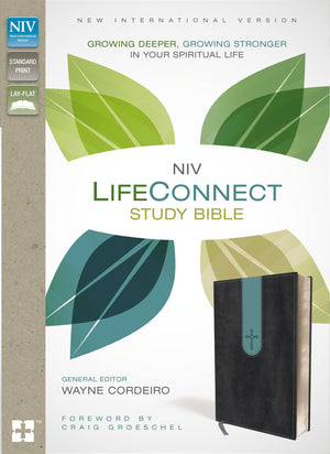 Niv, Lifeconnect Study Bible, Leathersoft, Gray/Blue, Indexed, Red Letter Edition: Growing Deeper, Growing Stronger In Your Spir