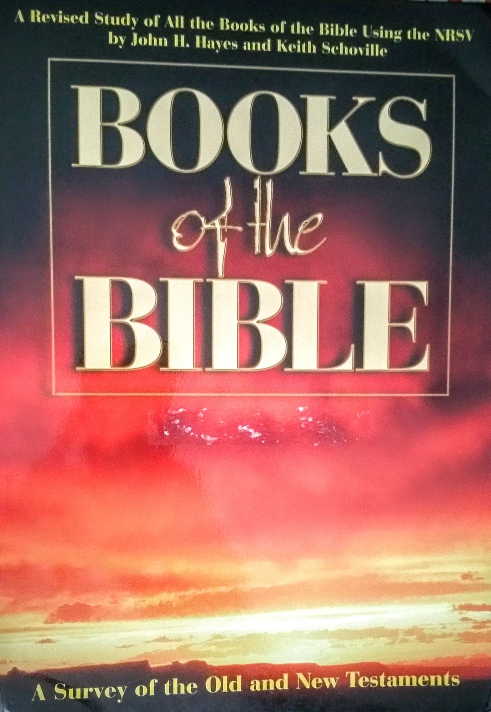 Books of the Bible: A Survey of the Old and New Testaments,Used