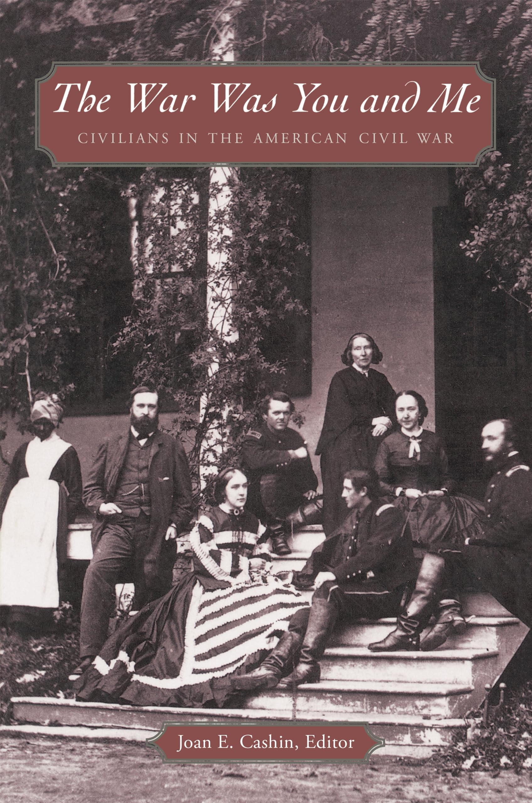 The War Was You And Me: Civilians In The American Civil War,New