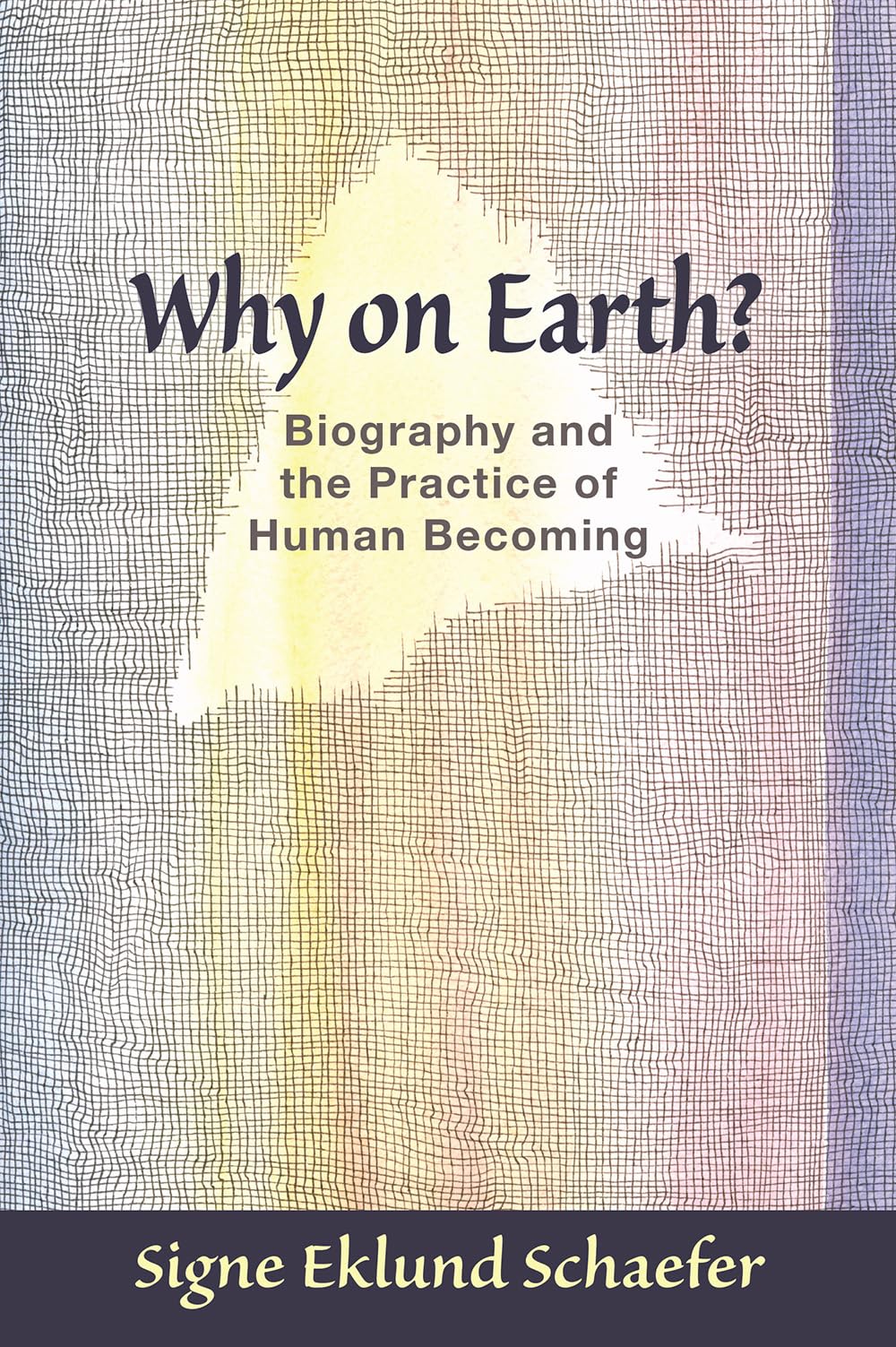 Why on Earth?: Biography and the Practice of Human Becoming,New