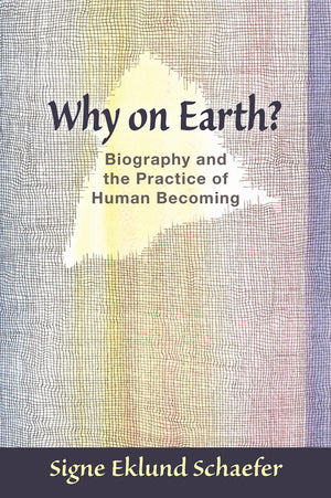 Why On Earth?: Biography And The Practice Of Human Becoming
