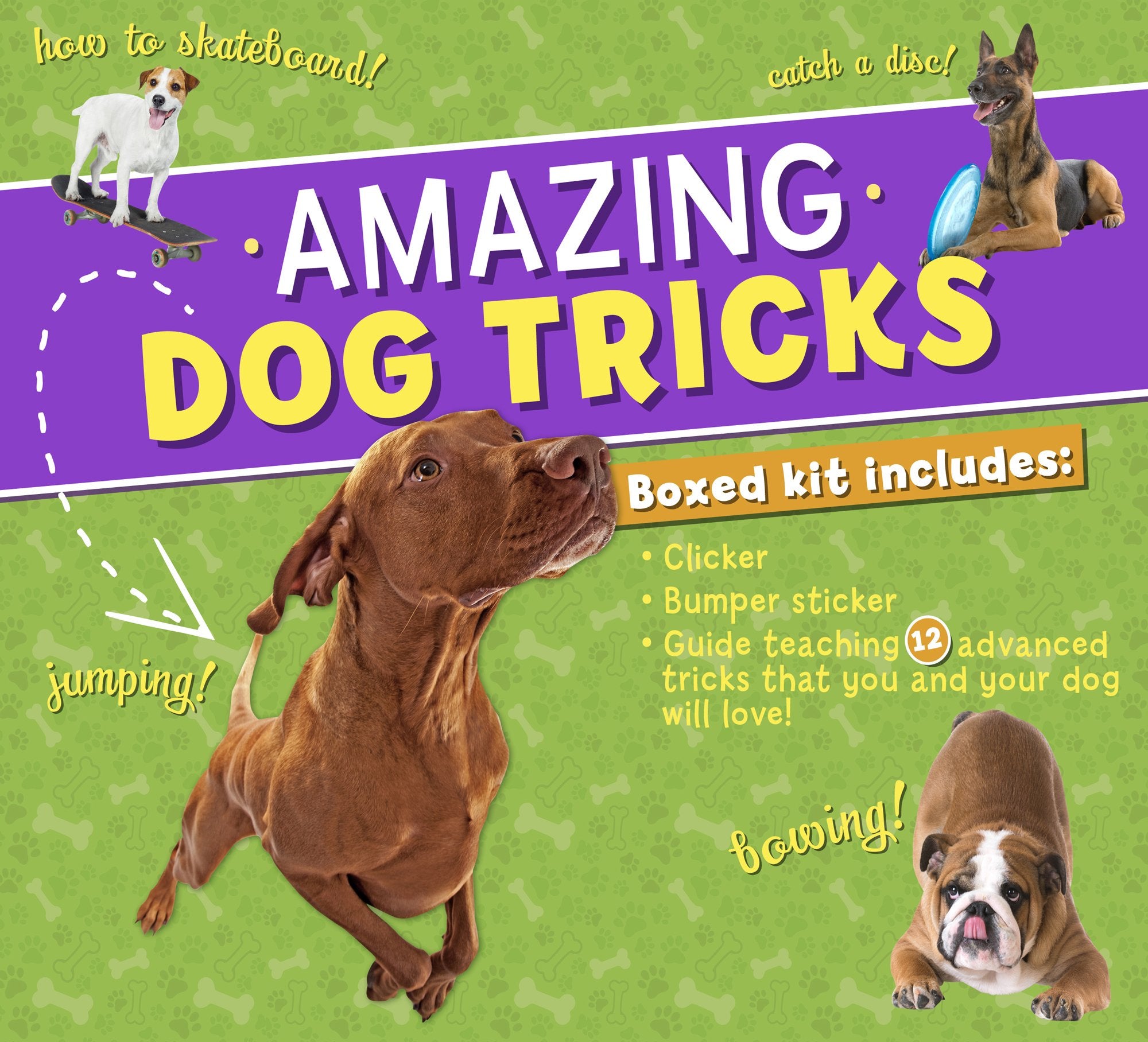 Amazing Dog Tricks Boxed Kit,Used